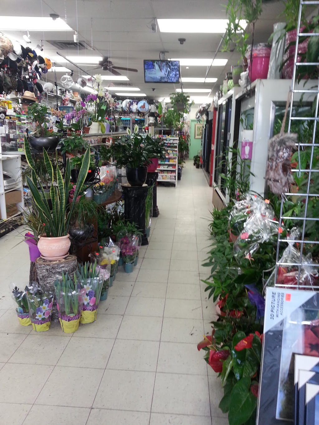 Eastown Gifts & Flowers | 2646 Eglinton Av E, Scarborough, ON M1K 2S3, Canada | Phone: (416) 264-4435
