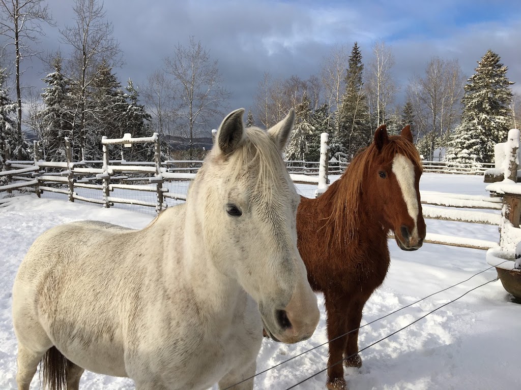 Ranch-O-Bois Rond | 31 45e Avenue Rivière Boule, Saint-Côme, QC J0K 2B0, Canada | Phone: (450) 883-5441