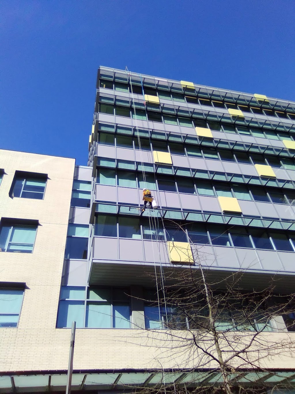 Aquarius Window Cleaning | 1595 Barclay St Suite 203, Vancouver, BC V6G 1J8, Canada | Phone: (604) 401-9137