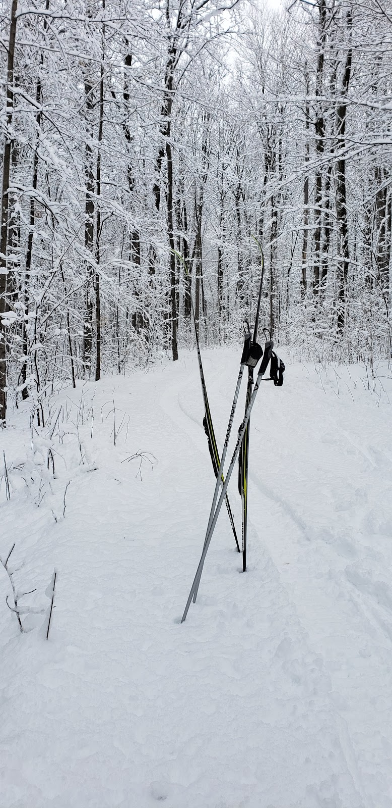 Cross-country skiing Saint-François | 1425 Rue Montplaisir, Saint-Charles-de-Drummond, QC J2C 5S7, Canada | Phone: (819) 478-5475