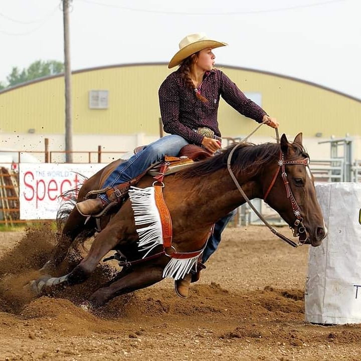 Plett Cattle + Performance Horses | Wiebe Rd, Grunthal, MB R0A 0R0, Canada | Phone: (204) 371-1431
