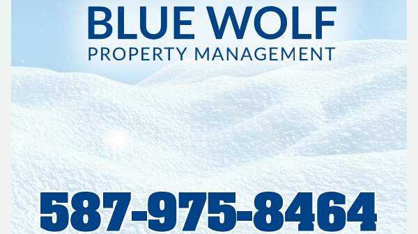 Blue wolf property maintenance | 11915 68 St NW, Edmonton, AB T5B 1P8, Canada | Phone: (587) 975-8464