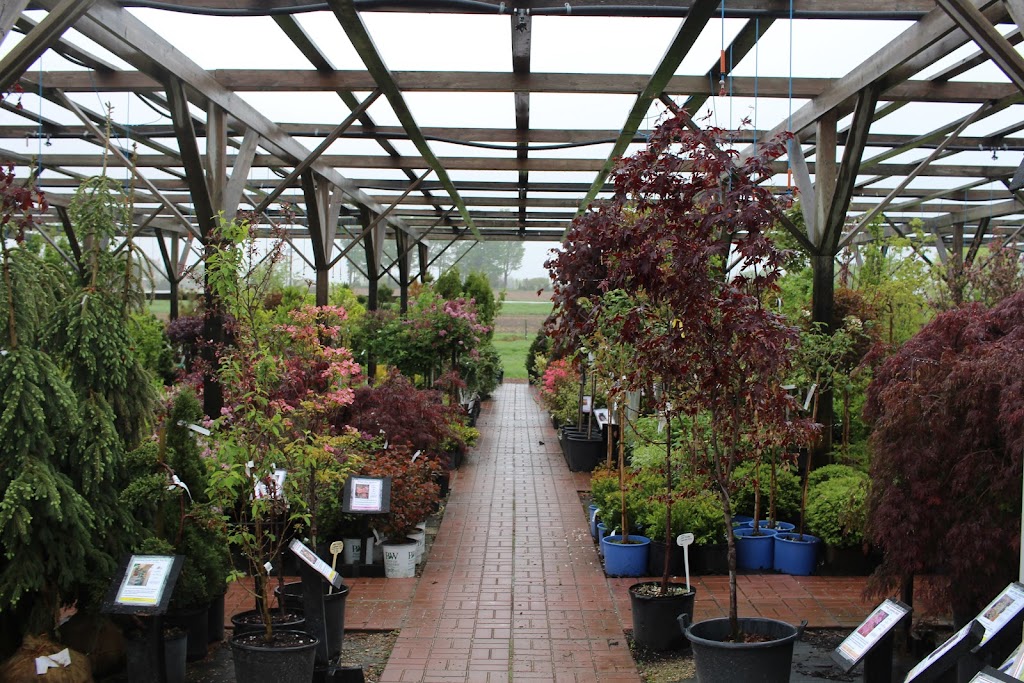 Listowel Greenhouses | 7877 Perth Road 164 R.R 2, Listowel, ON N4W 3G7, Canada | Phone: (519) 291-2434