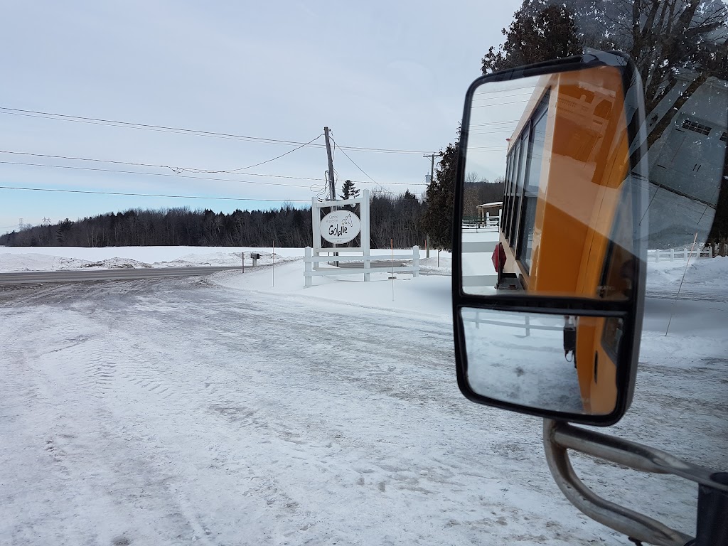 Projet Equestre Goldie | 402 Chem. de la Côte S, Blainville, QC J7E 4H5, Canada | Phone: (450) 821-8157