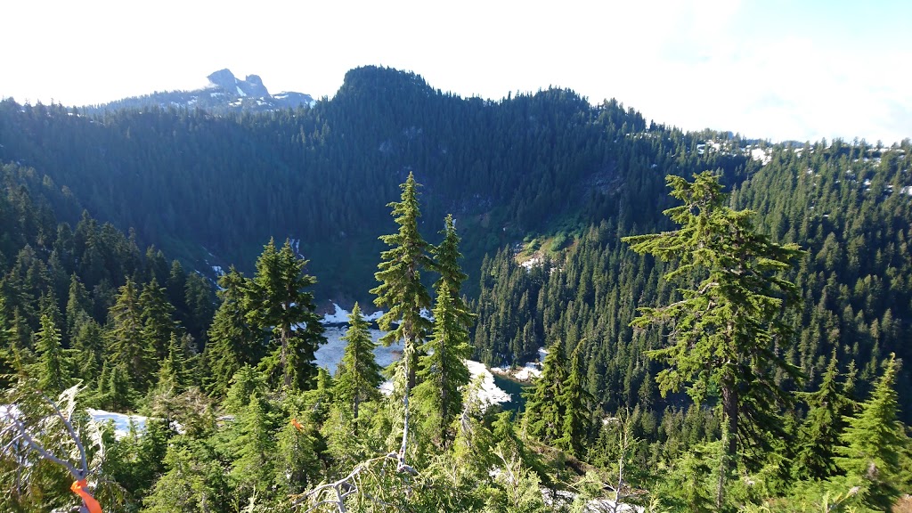 Thunderbird Ridge | North Vancouver, BC V7K 1X8, Canada