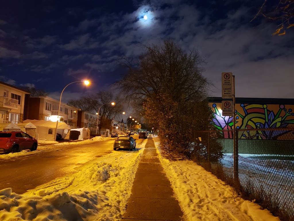 Piste d’athlétisme Lester B.Pearson | Avenue P M Favier, Montréal, QC H1G 0A1, Canada