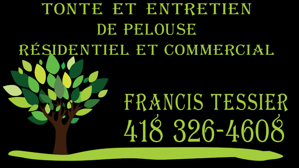 Tonte et entretien de pelouse residentiel et commercial | 115 Rue Janelle, Deschambault, QC G0A 1S0, Canada | Phone: (418) 326-4608