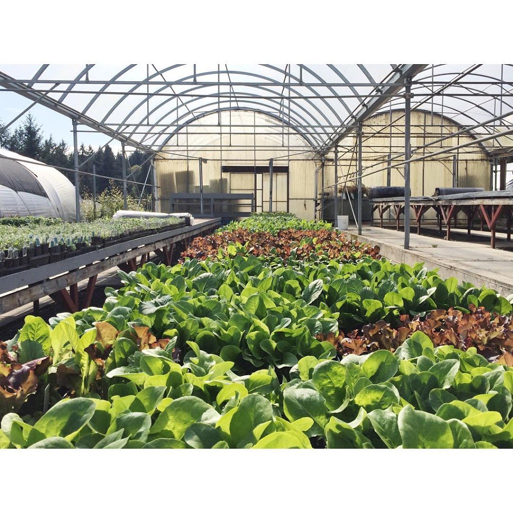 Le Coteau Nursery | 304 Walton Pl, Victoria, BC V9E 2A4, Canada | Phone: (250) 658-5888