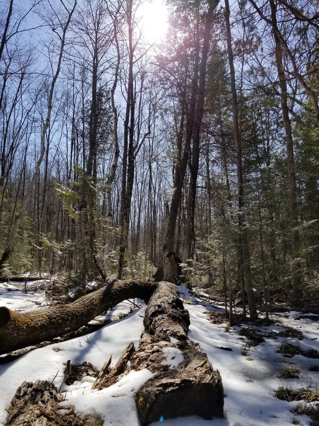 Chattens Creek | Kawartha Lakes, ON K0L 2W0, Canada