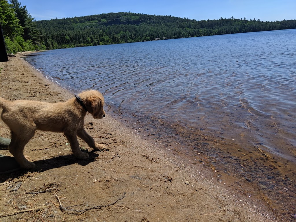 Rock Lake Campground Office | Algonquin Highlands, ON K0M 1J1, Canada | Phone: (705) 633-5572