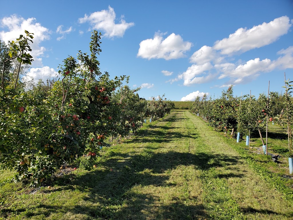 Ferme Anse au Sable | 2565 Bd Perrot, Notre-Dame-de-lÎle-Perrot, QC J7V 8P4, Canada | Phone: (514) 453-1396