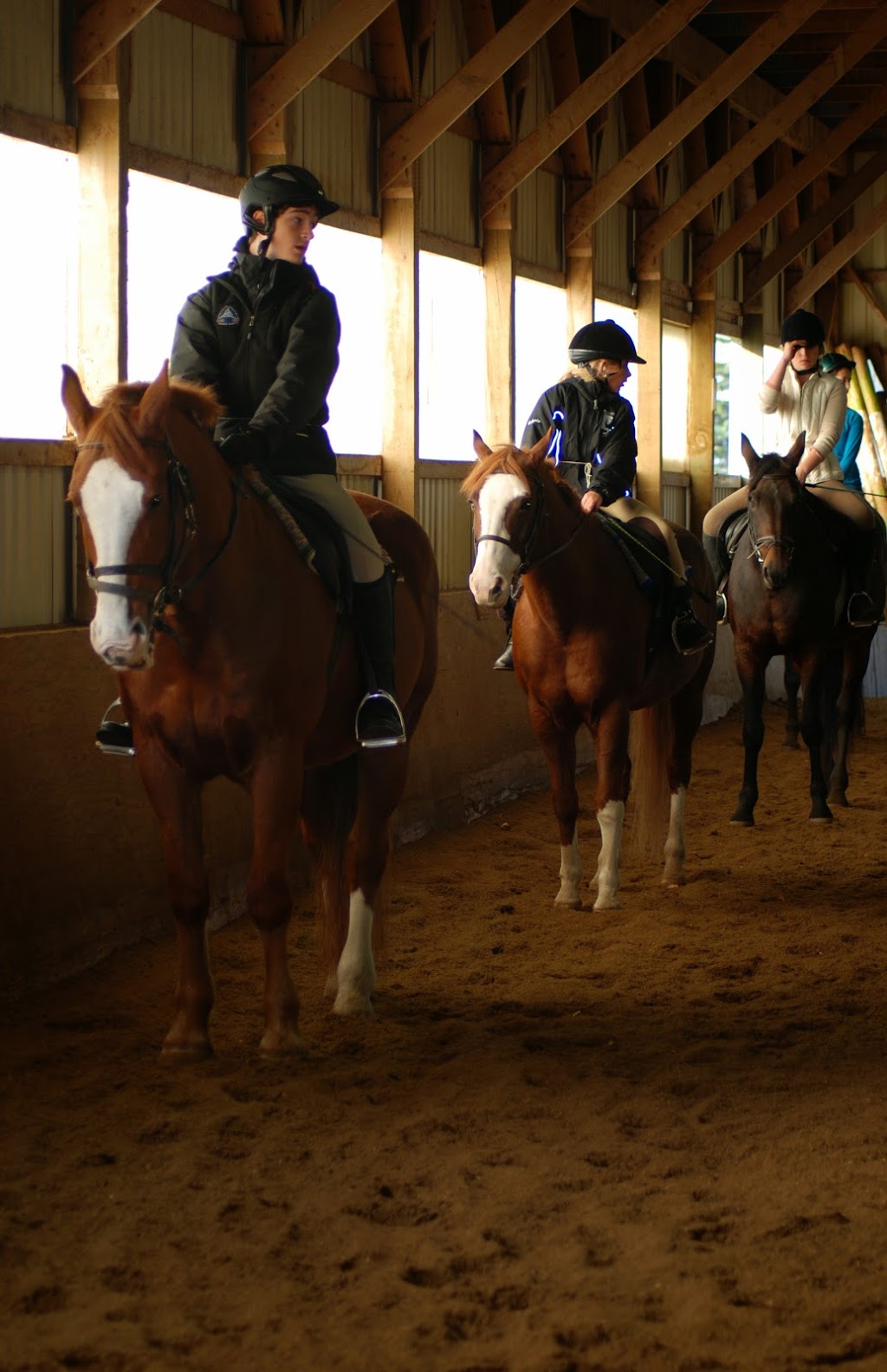 Whitchurch Riding Academy | 19480 McCowan Rd, Mount Albert, ON L0G 1M0, Canada | Phone: (905) 473-5260