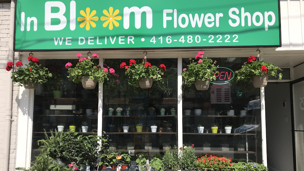 In Bloom Flower Shop | 163 Main St, Toronto, ON M4E 2V9, Canada | Phone: (416) 480-2222