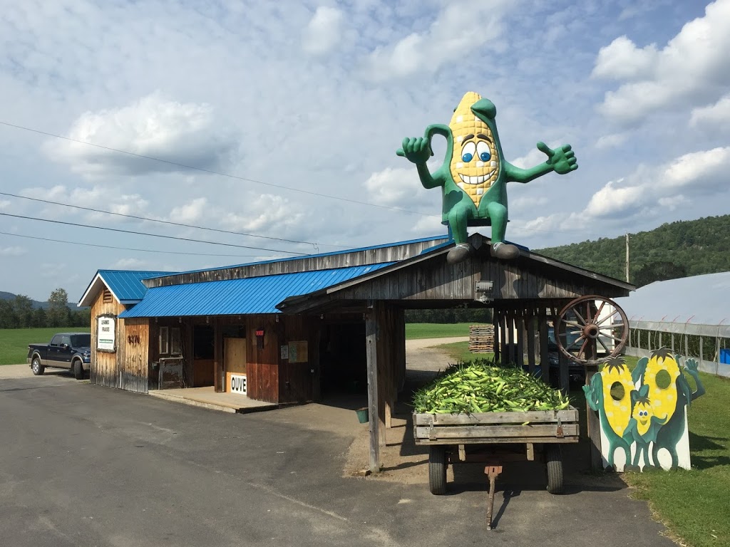 Kiosque de la Ferme Louiselle & Gaetan Brassard | 2415 Chemin des Glaïeuls, La Conception, QC J0T 1M0, Canada | Phone: (819) 686-5193