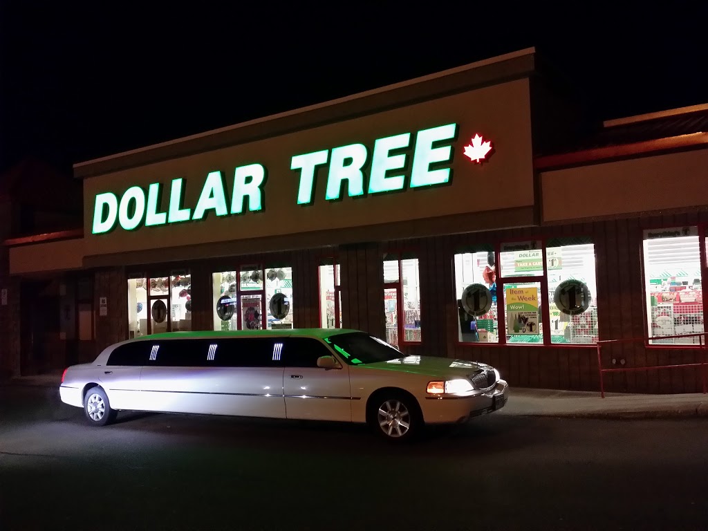 Dollar Tree | 1070 Stone Church Rd E, Hamilton, ON L8W 3K8, Canada | Phone: (905) 389-3601