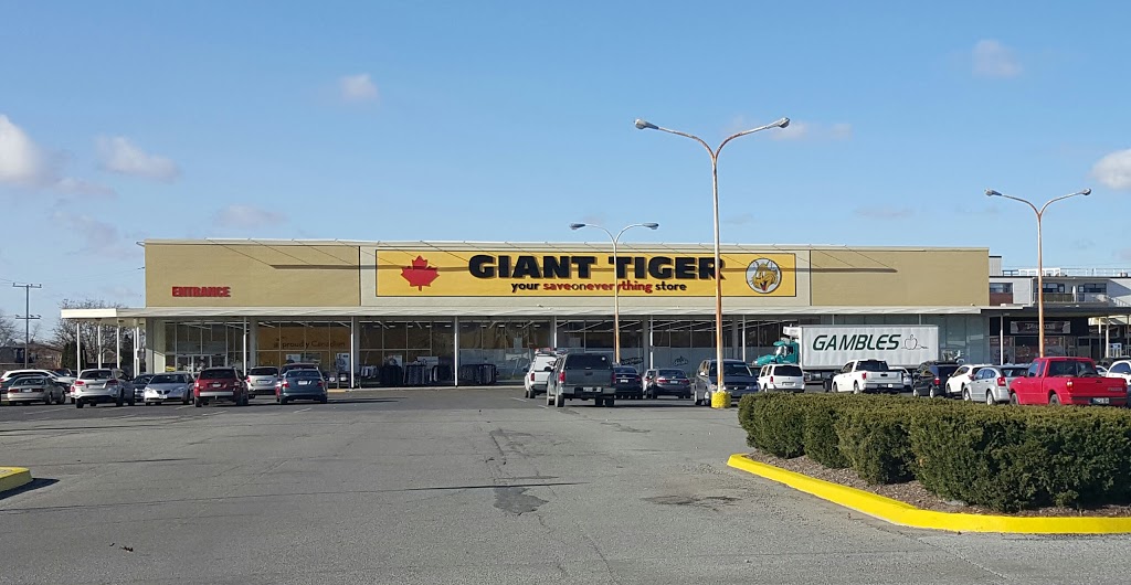 Giant Tiger | 200 Fitch St, Welland, ON L3C 2V9, Canada | Phone: (905) 735-0963