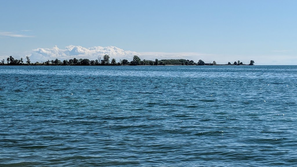 Sand Beach Wetlands Conservation Area | Concession Rd 3, Stella, ON K0H 2S0, Canada