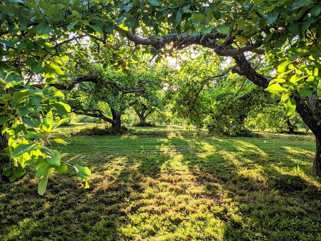 Verger Heath Orchard | 4950 Chem. Heath, Stanstead, QC J0B 3E0, Canada | Phone: (819) 876-2817