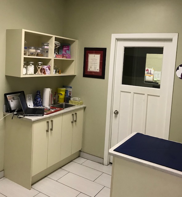 Dixie Road Pet Clinic | 10078 Dixie Rd, Brampton, ON L6R 0B1, Canada | Phone: (905) 792-3456