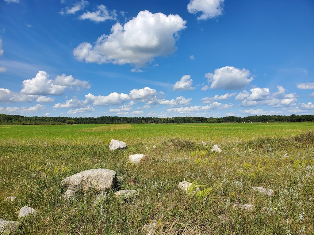 Swinging Bridge | Roseau River, MB R0A 1P0, Canada | Phone: (204) 427-2922