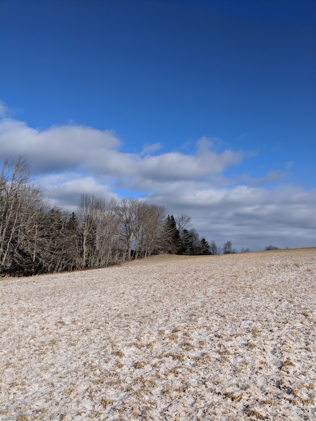 Ashwood Ridge Farm Estate Limited | 971 Northwest Rd, Lunenburg, NS B0J 2C0, Canada | Phone: (902) 640-2587