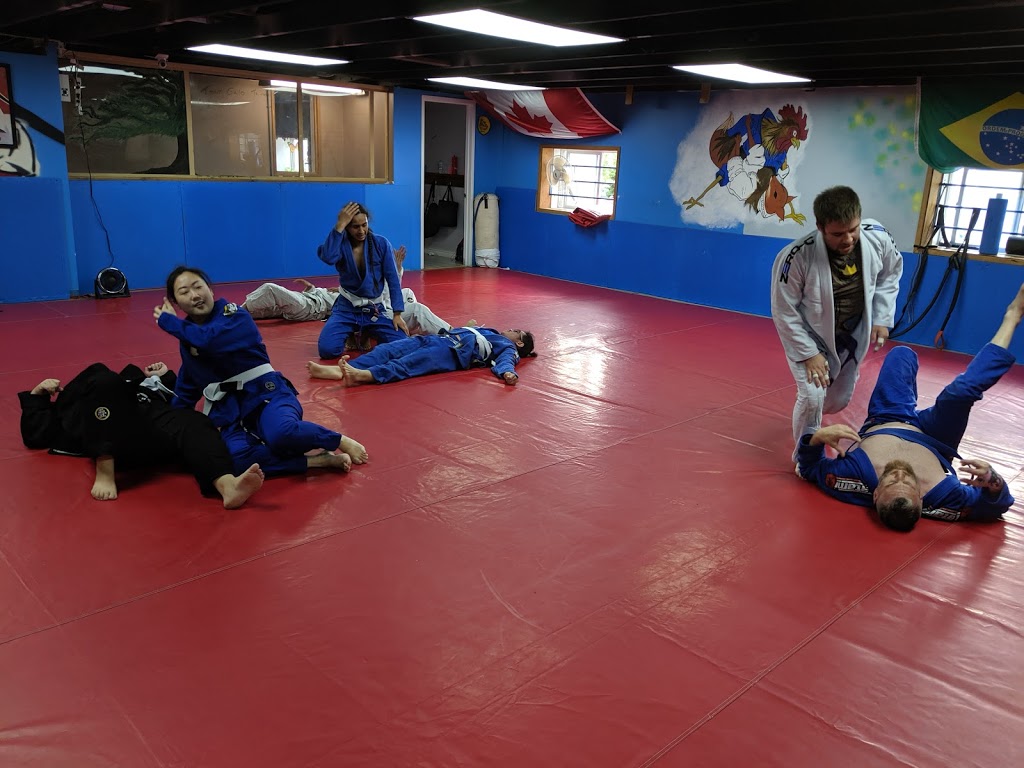 Team Galo Jiu-Jitsu | 10001 168 St NW, Edmonton, AB T5P 3W9, Canada | Phone: (780) 484-6524