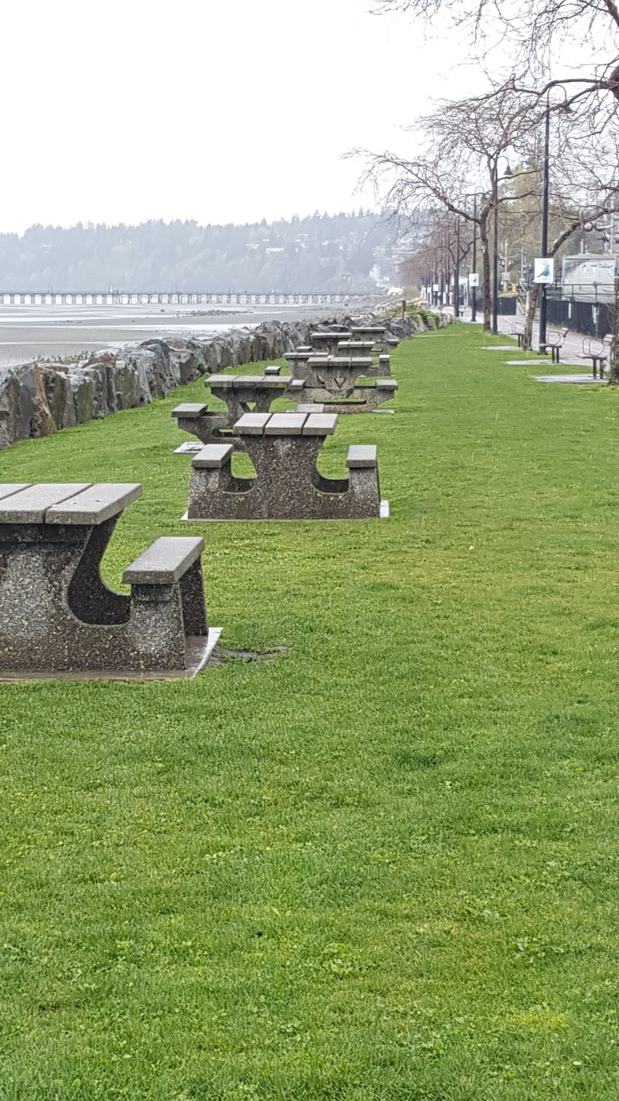 Bear Statue | White Rock Promenade, White Rock, BC V4B 1C9, Canada | Phone: (604) 541-2100