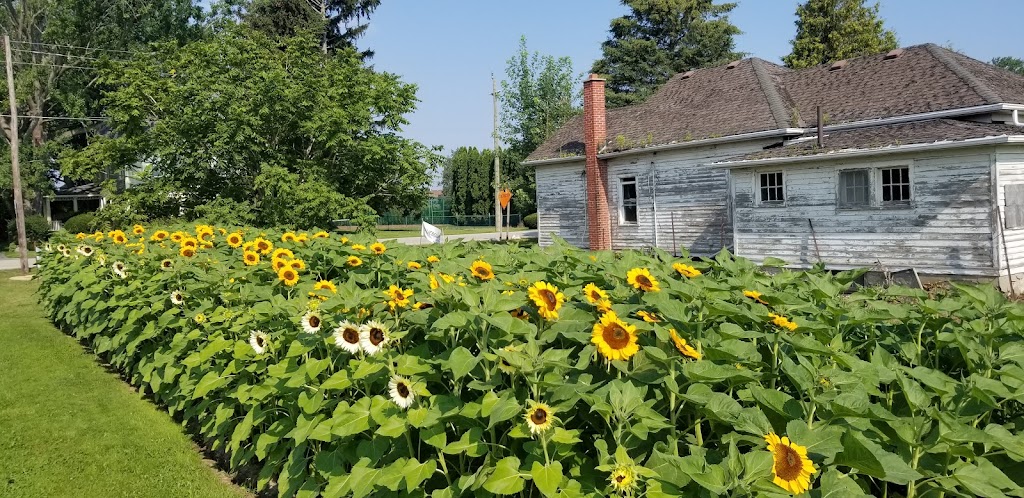 The Red Barn Farm Market and Bakery | Jordan Station, Lincoln, ON L0R 1S0, Canada | Phone: (905) 401-5249