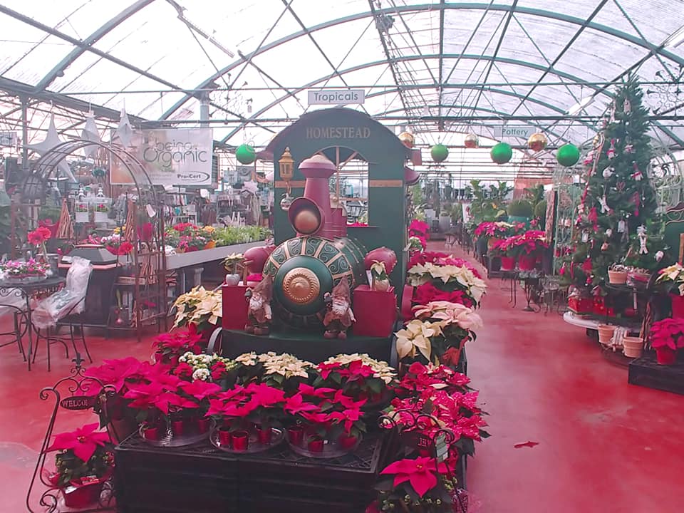 Homestead Nurseryland & Florist | 31888 Marshall Rd, Abbotsford, BC V2T 5Z9, Canada | Phone: (604) 854-6601