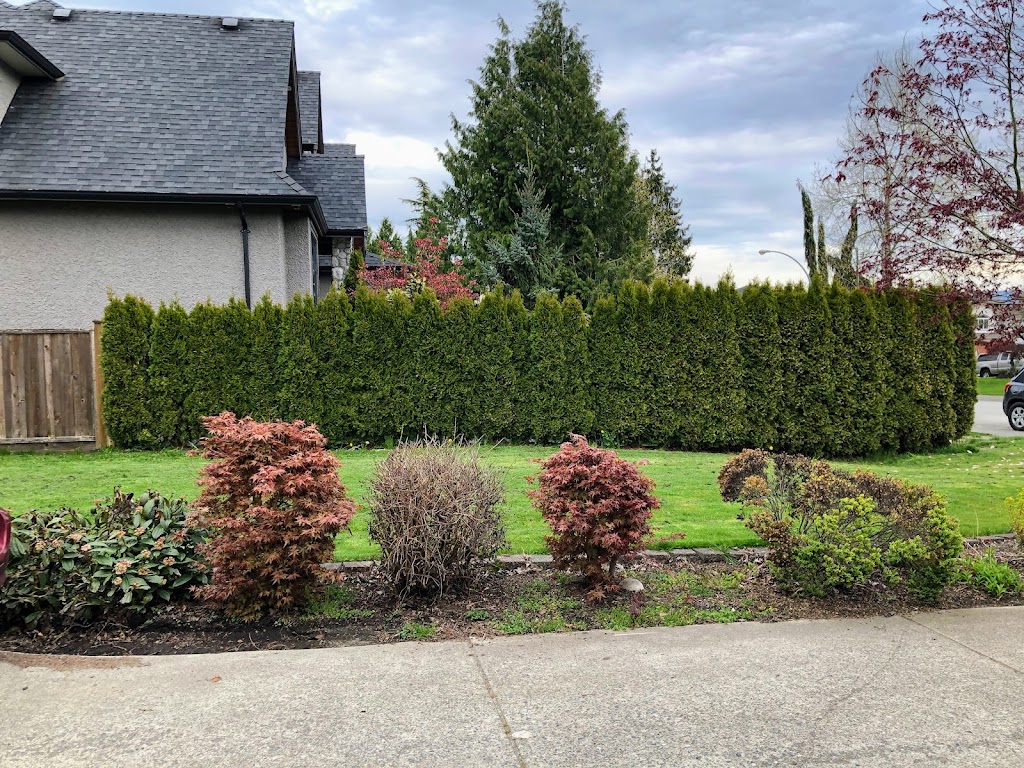 JF Hedge Trimming LTD. | 4033 240 St, Langley, BC V2Z 2L4, Canada | Phone: (778) 241-0416