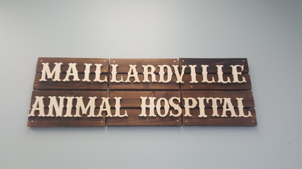 Maillardville Animal Hospital | 1119C Austin Ave, Coquitlam, BC V3K 3P4, Canada | Phone: (604) 939-0800