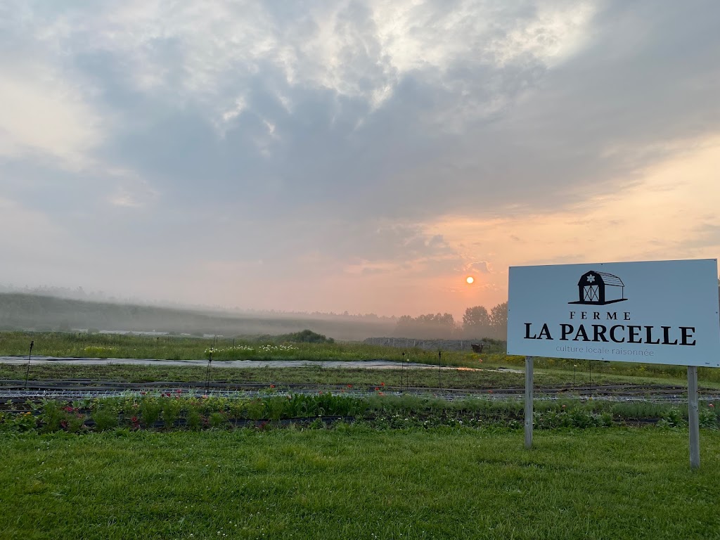 Ferme La Parcelle | 1601 Chemin de la Côte St Louis, Proulxville, QC G0X 2B0, Canada | Phone: (418) 507-4288