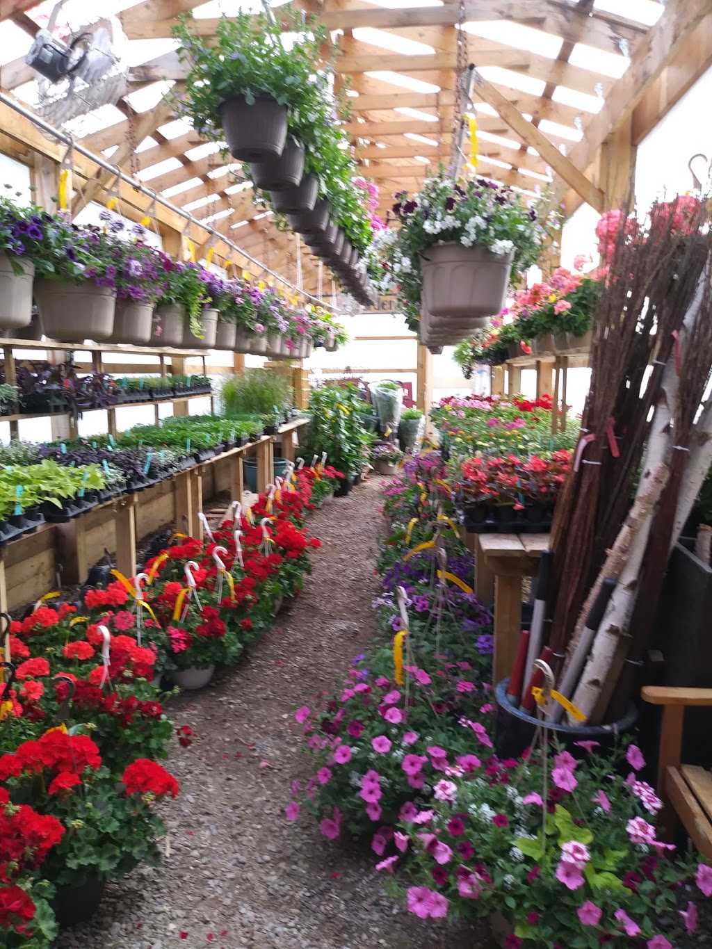 Redberry Gardens | 106 Main St, Glencoe, ON N0L 1M0, Canada | Phone: (519) 709-6730