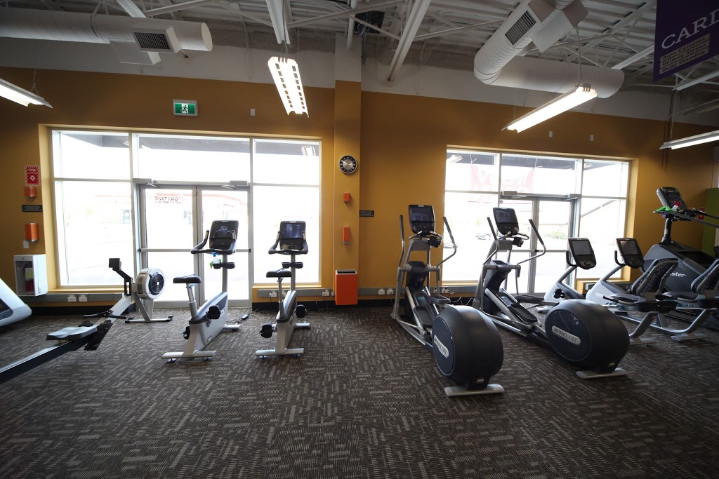 Anytime Fitness | 200 Southridge Dr #1067, Okotoks, AB T1S 0B2, Canada | Phone: (780) 905-8878