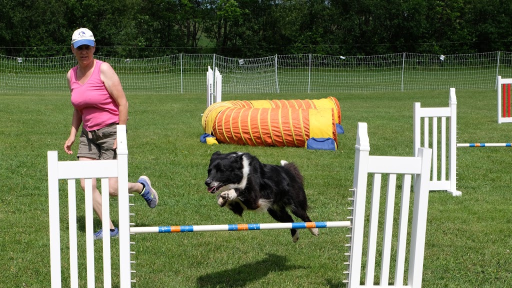 Paus-n-Train Agility & Obedience | 300 Lindsay Rd, Selwyn, ON K9J 0C5, Canada | Phone: (705) 740-0774