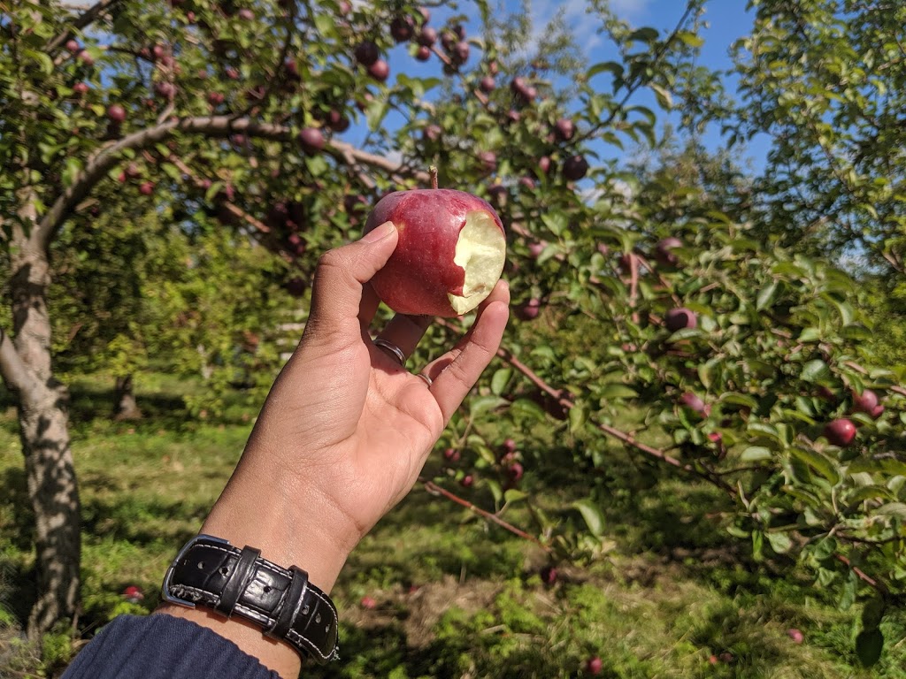 Les 7 fruits du château | 1172 Chemin de la Montagne, Mont-Saint-Hilaire, QC J3G 4S6, Canada | Phone: (450) 467-9965