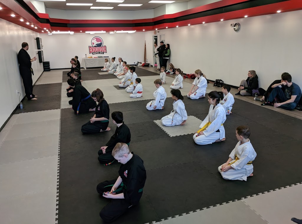 Endeavour Martial Arts | 2062 Robertson Rd, Nepean, ON K2H 9R6, Canada | Phone: (613) 828-8000