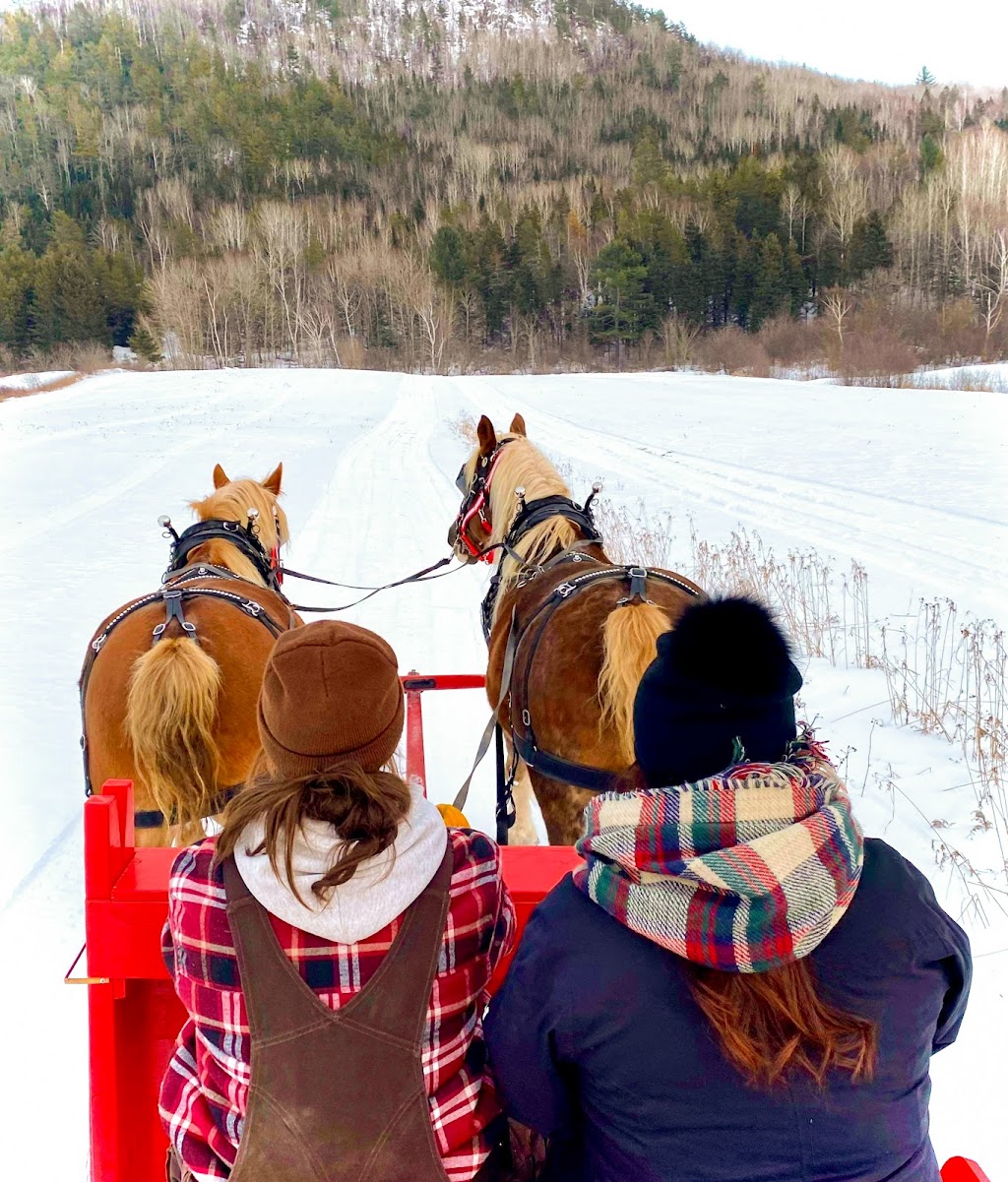 Les Montagnards de Charlevoix | Randonnée équestre | 652 Chemin St Laurent, Baie-Saint-Paul, QC G3Z 2L7, Canada | Phone: (418) 580-7816