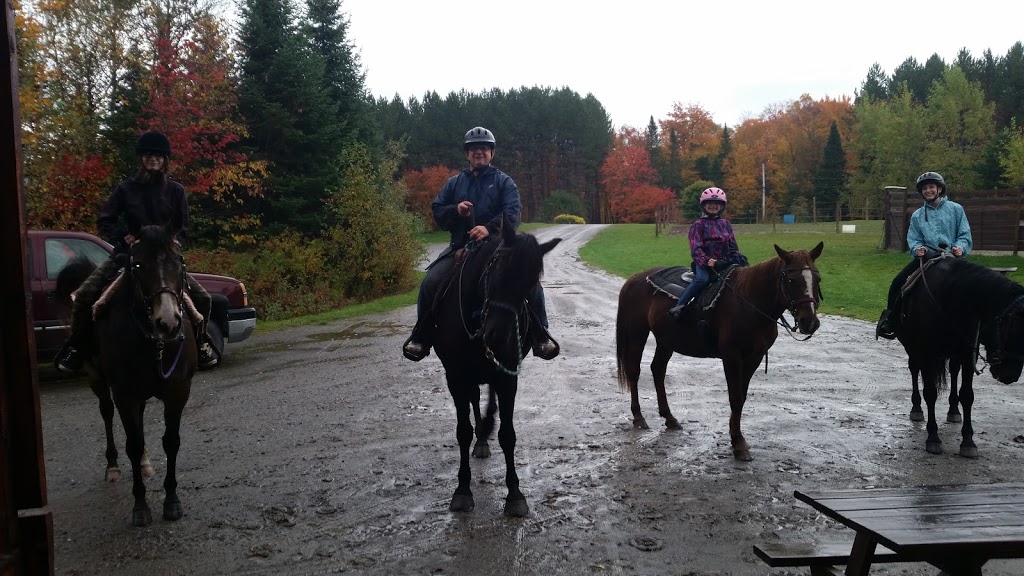 Centre Equestre Le Vent Du Sud | 254 Rang des Grenier, Piopolis, QC G0Y 1H0, Canada | Phone: (819) 583-0202