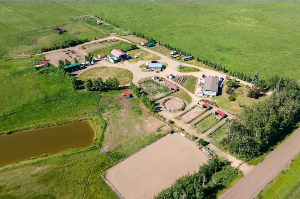 Bold Xpression Farms | Leduc County, 21557 Township Rd 503, Leduc County, AB T0B 3M2, Canada | Phone: (780) 617-0154