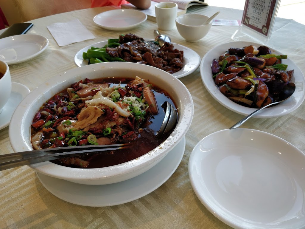 Panda Szechuan | 15080 32 Ave, Surrey, BC V6P 3K1, Canada | Phone: (604) 560-1777