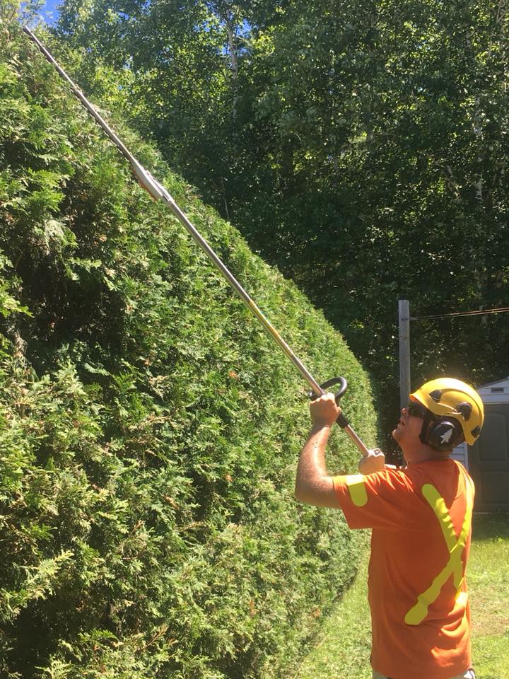 Tree Service Coquitlam Inc. | 1145 Inlet St, Coquitlam, BC V3B 6E8, Canada | Phone: (778) 488-9410