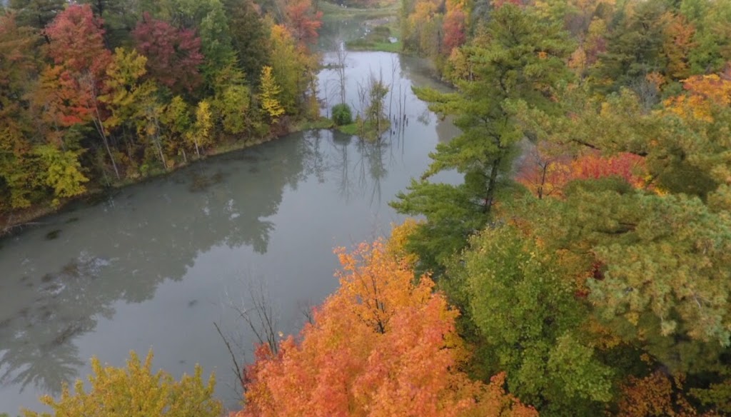 Cardinal Creek Karst Path | 1056 Watters Rd, Orléans, ON K4A 3P9, Canada