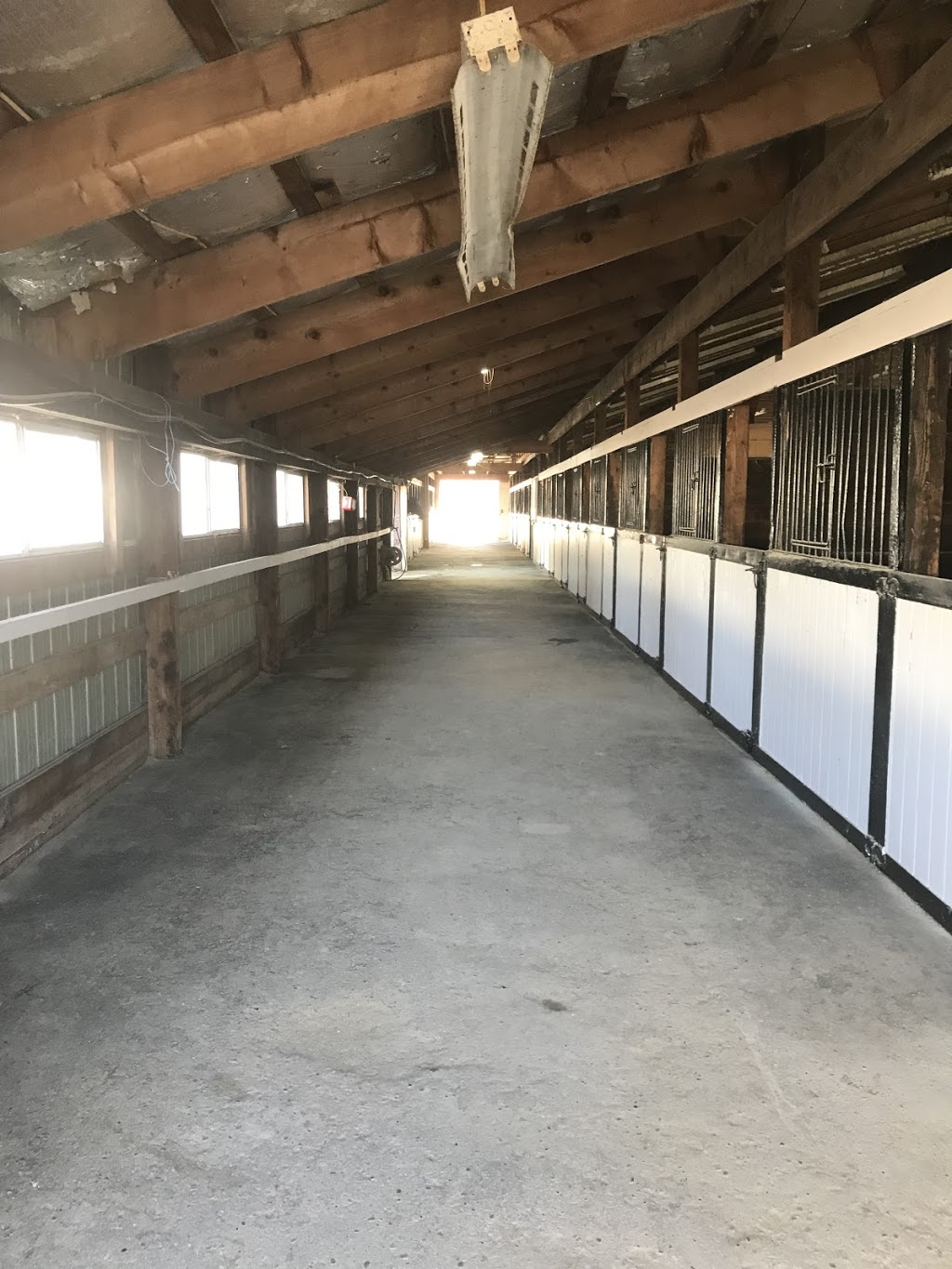 Westcott Equestrian | 1484 216 St, Langley Twp, BC V2Z 1R2, Canada | Phone: (778) 999-3266