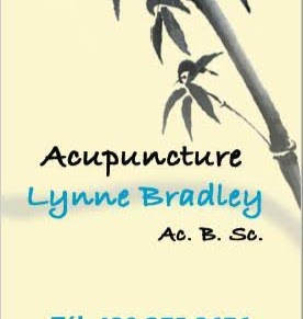 Acupuncture Lynne Bradley | 1100 56e Avenue, Pointe-aux-Trembles, QC H1A 2R8, Canada | Phone: (438) 275-3676