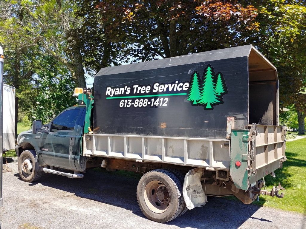 Ryans Tree Service | 5573 Bellrock Rd, Verona, ON K0H 2W0, Canada | Phone: (613) 888-1412