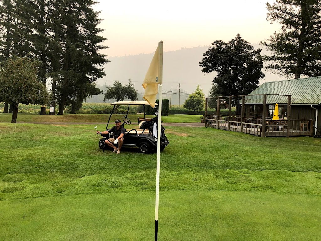 Harrison Resort Golf Course | 3891 Hot Springs Rd, Agassiz, BC V0M 1A1, Canada | Phone: (604) 796-9009