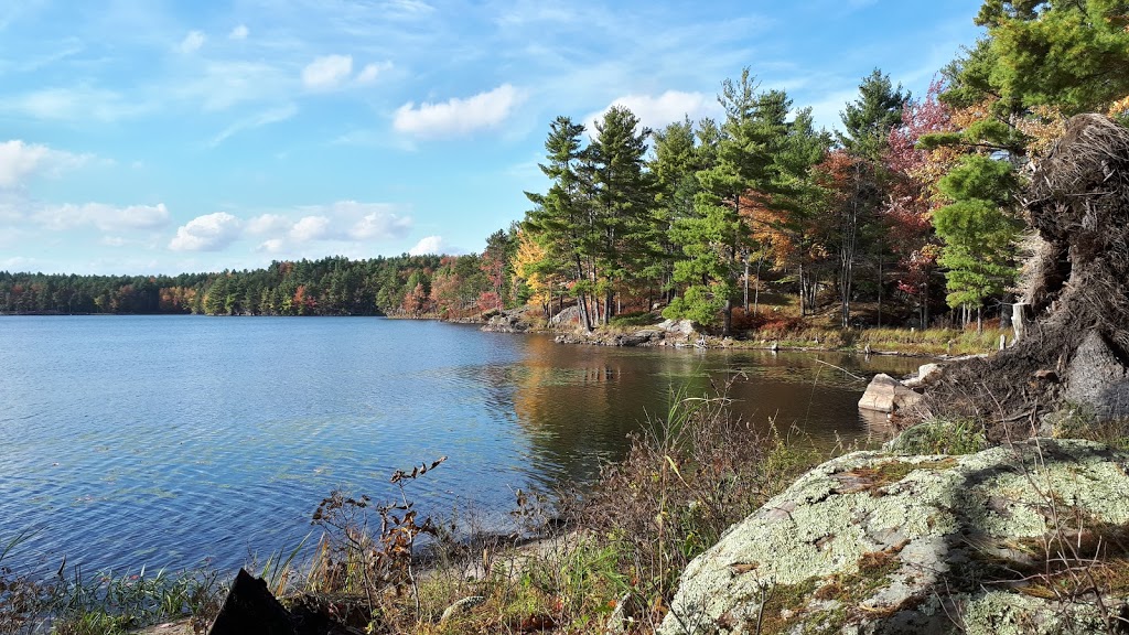 Frontenac Provincial Park Site 2 | South Frontenac, ON K0H 2T0, Canada