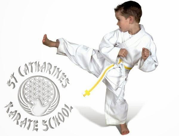 St Catharines Karate School | 89 Scott St, St. Catharines, ON L2N 1G8, Canada | Phone: (905) 646-1223