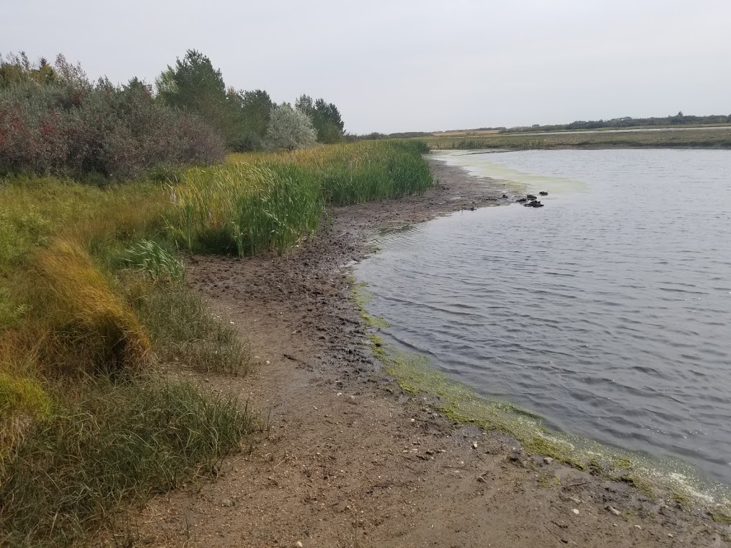 Chappel Marsh Conservation Area | Saskatoon, SK S0K 1V0, Canada | Phone: (866) 254-3825